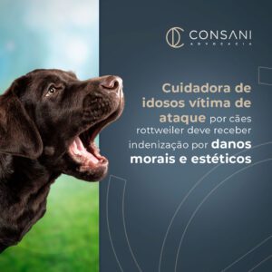 Cuidadora de idosos vítima de ataque por cães rottweiler deve receber indenização por danos morais e estéticos